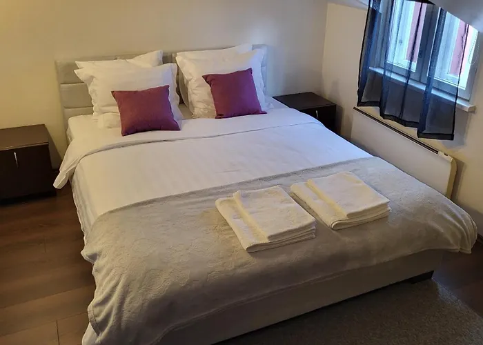 Viru Apartament Tallin