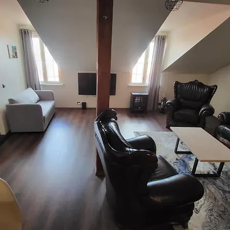Viru Apartment